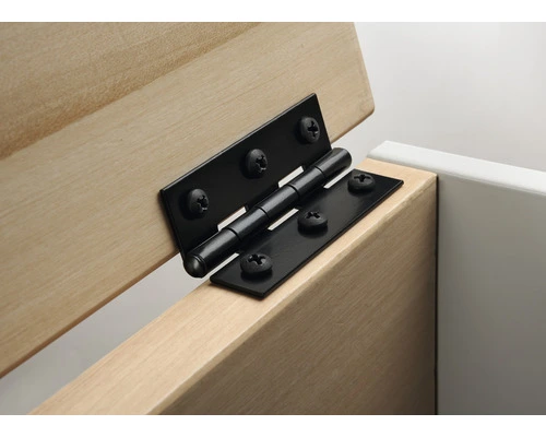 HETTICH Meubelscharnier 100x50 Mm Zwart, 2 Stuks - Afbeelding 2